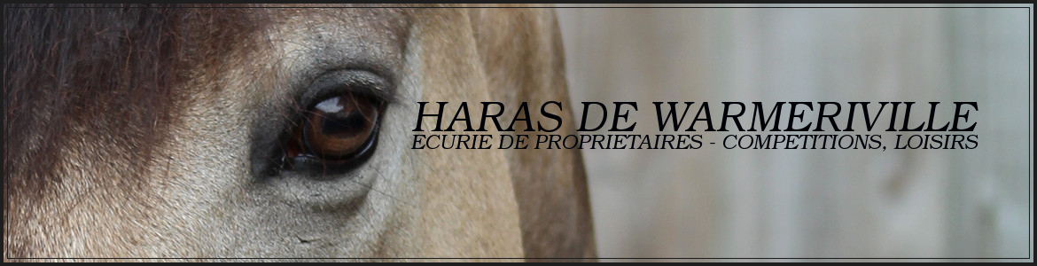 HARAS DE WARMERIVILLE
